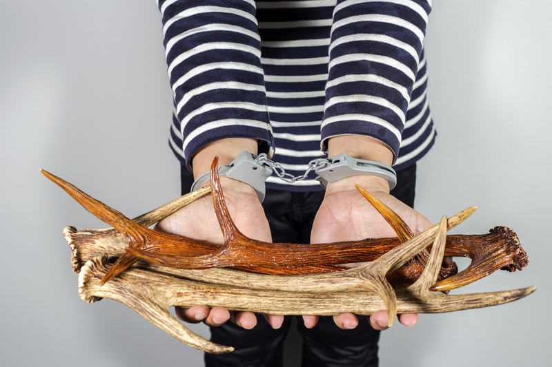 Preparing Your Home for Guests With a Foolproof Cleaning Checklist