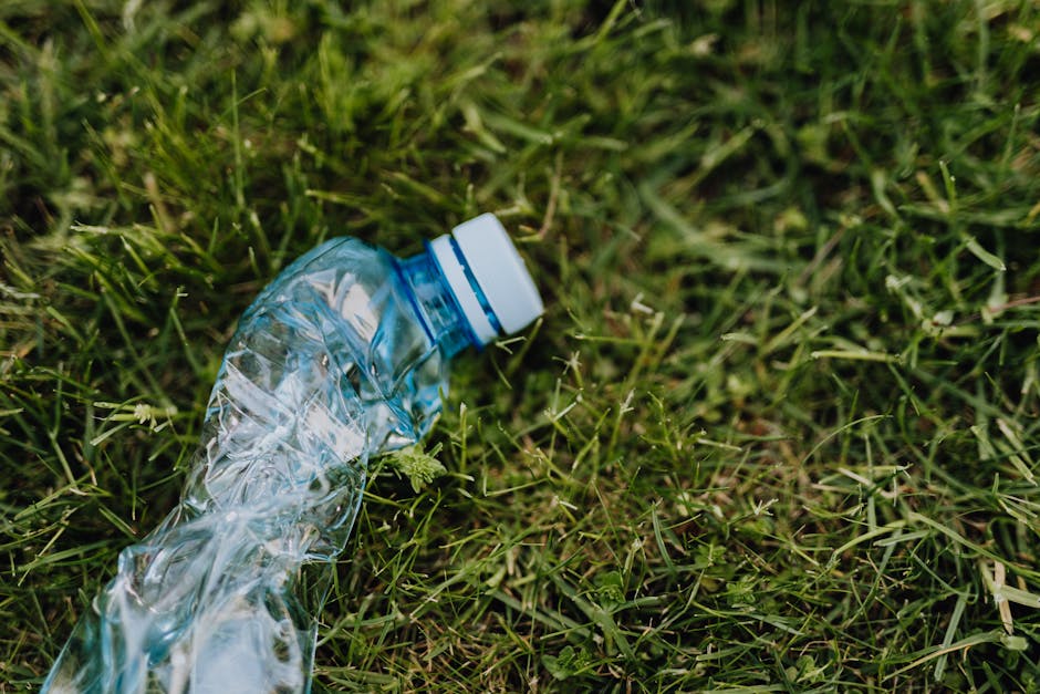 A discarded crumpled plastic water bottle with a white screw-on cap lies on a patch of green grass, featuring a mix of fine and coarse blades. The transparent, slightly wrinkled plastic exhibits a glo